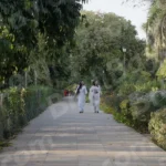 Women Walking in a Park - Log, colour and B&W