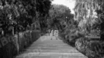 Women Walking in a Park - Log, colour and B&W - Image 2