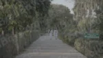Women Walking in a Park - Log, colour and B&W - Image 3