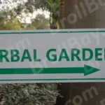 Garden Board - Log, colour and B&W