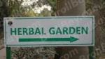 Garden Board - Log, colour and B&W