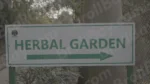 Garden Board - Log, colour and B&W - Image 3