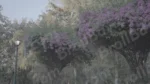 Flowers on a Trees - Log, colour and B&W - Image 3