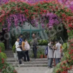 People Enjoying in a Park - Log, colour and B&W