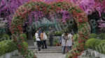 People Enjoying in a Park - Log, colour and B&W