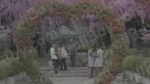 People Enjoying in a Park - Log, colour and B&W - Image 3