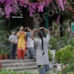 Students Clicking Pictures in a Park - Log, colour and B&W