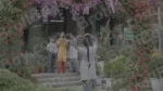 Students Clicking Pictures in a Park - Log, colour and B&W - Image 3