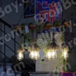 Light Bulb - Log, colour and B&W