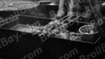 Seek Kebab - Log, colour and B&W - Image 2