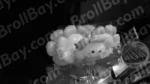 Balloon - Log, colour and B&W - Image 2