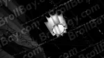Light - Log, colour and B&W - Image 2