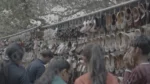 Selling Shoes in a Market - Log, colour and B&W - Image 3