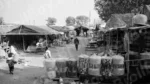 Banjara Market - Log, colour and B&W - Image 2