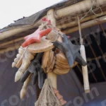 Handicraft - Log, colour and B&W