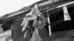 Handicraft - Log, colour and B&W - Image 2