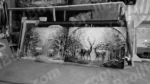 Painting - Log, colour and B&W - Image 2