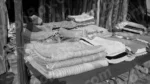 A Collection of home Furnishing Products - Log, colour and B&W - Image 2