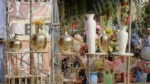 A Collection of Home Decor Items - Log, colour and B&W