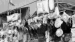 Toys Shop - Log, colour and B&W - Image 2