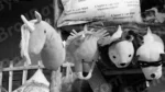 Toys in a Market - Log, colour and B&W - Image 2