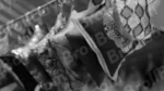 Decorative Throw Pillows  - Log, colour and B&W - Image 2