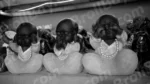 Gandhi's Three Monkeys - Log, colour and B&W - Image 2