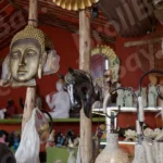 Antique Shop - Log, colour and B&W