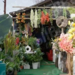 Flowers Shop - Log, colour and B&W