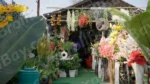 Flowers Shop - Log, colour and B&W