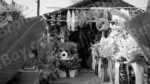 Flowers Shop - Log, colour and B&W - Image 2