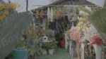 Flowers Shop - Log, colour and B&W - Image 3