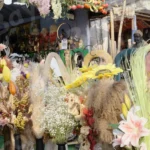 Artificial flowers - Log, colour and B&W