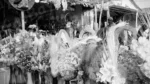 Artificial flowers - Log, colour and B&W - Image 2