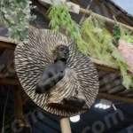 Statue art - Log, colour and B&W