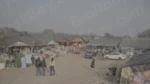 Banjara Market - Log, colour and B&W - Image 3