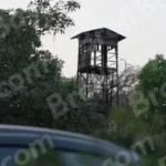 Watch Tower - Log, colour and B&W