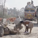 The man is using an axe to chop into a large log, creating wood chips and sawdust - Log, colour and B&W
