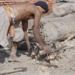 The man is using an axe to chop into a large log, creating wood chips and sawdust - Log, colour and B&W