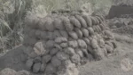 Cow Dung Cakes - Log, colour and B&W - Image 3