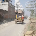 Bullock Cart - Log, colour and B&W