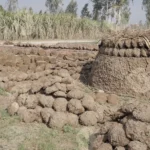 Cow Dung Cakes ( Gobar ke Uple) - Log, colour and B&W