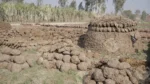 Cow Dung Cakes ( Gobar ke Uple) - Log, colour and B&W