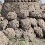 Collection of Hand-molded, dried cow dung cakes - Log, colour and B&W