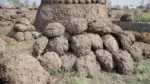 Collection of Hand-molded, dried cow dung cakes - Log, colour and B&W