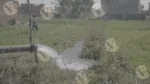 Agricultural Irrigation using a Tube well in a Rural Area - Log, colour and B&W - Image 3
