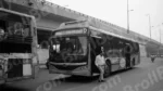 Delhi DTC Bus - Log, colour and B&W - Image 2