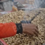 Selling Peanuts - Log, colour and B&W