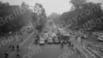 Top view of Traffic - Log, colour and B&W - Image 2