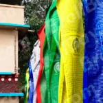 Tibetian Flag - Log, colour and B&W